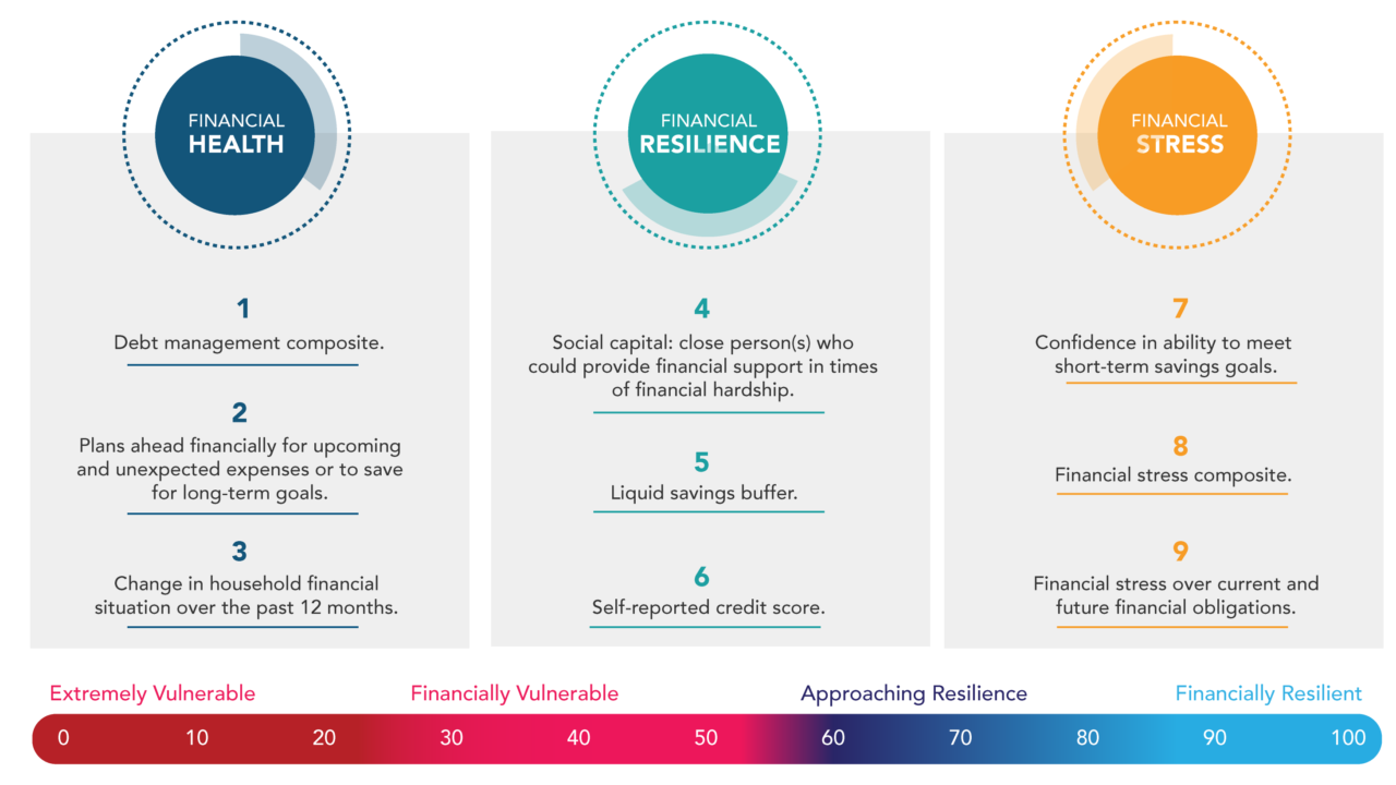 Seymour Financial Resilience Index TM Financial Health Index study