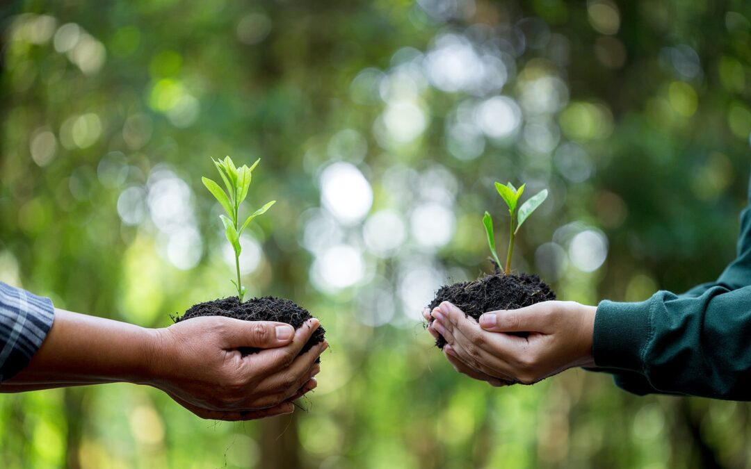 Proven Correlation Between Financial Inclusion and Access to Specific Types of Financial Help and Improved Financial Resilience Outcomes for Canadian Households