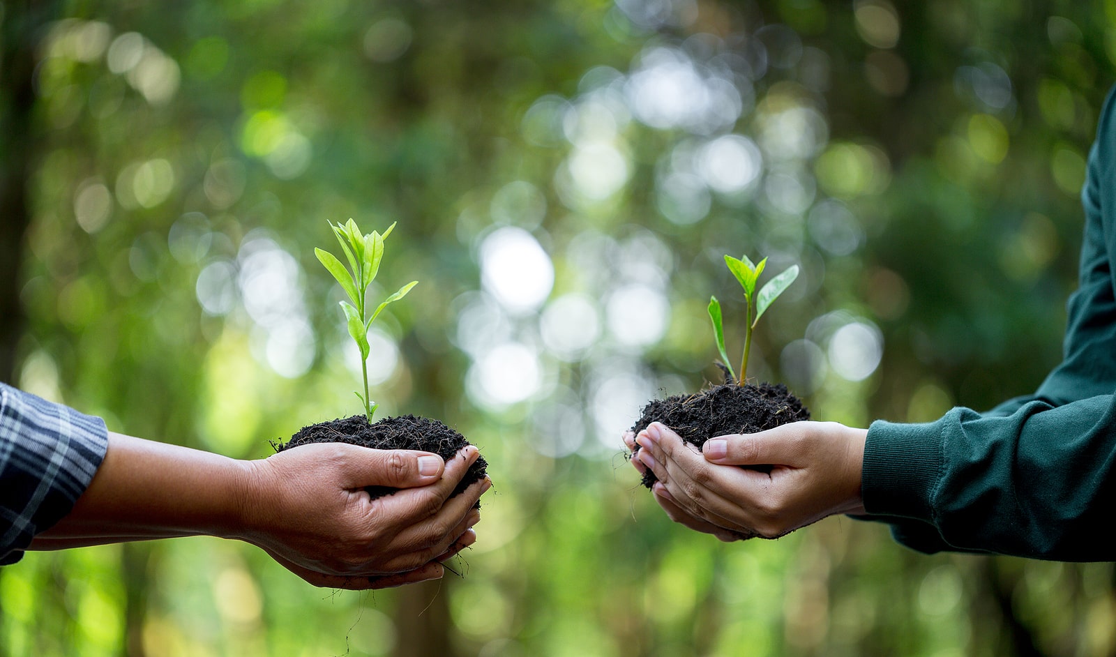Proven Correlation Between Financial Inclusion and Access to Specific Types of Financial Help and Improved Financial Resilience Outcomes for Canadian Households