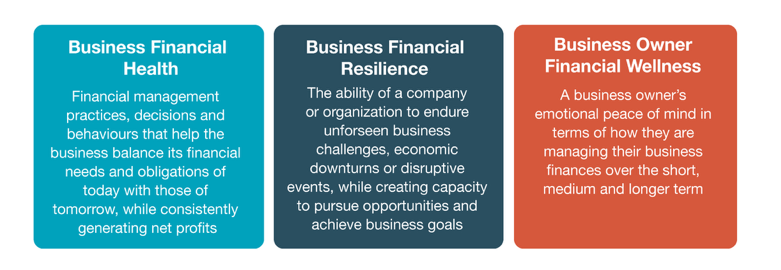 Business Definitions Financial Resilience