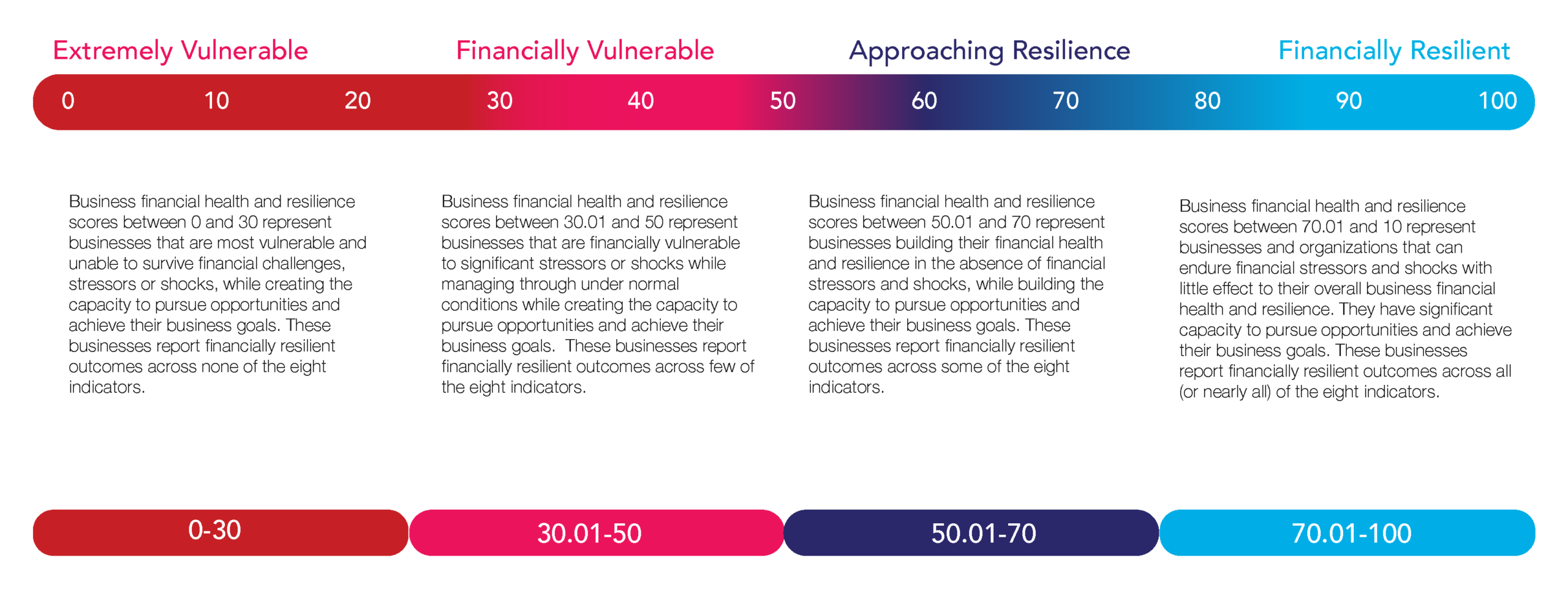 SME Index Scoring Model Seymour's Financial Vulnerability